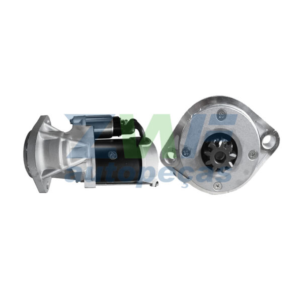 801171 – ZWF Induzidos