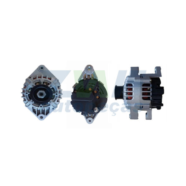 802055 – ZWF Induzidos