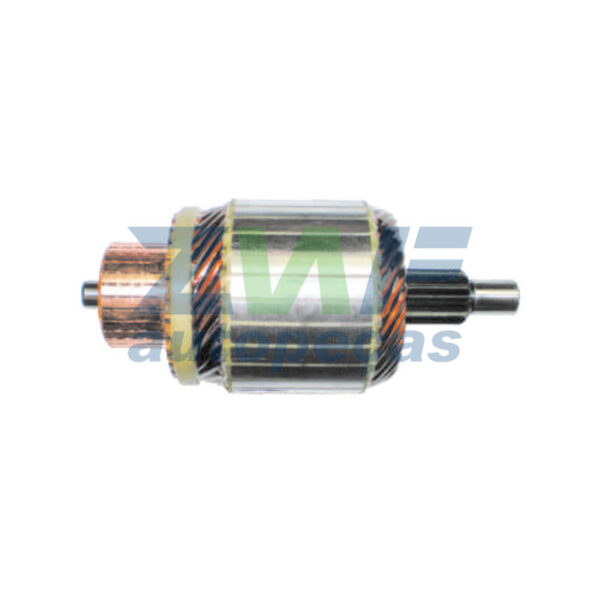 914036 – ZWF Induzidos